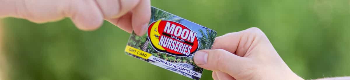 Moon-Valley-Nurseries-Gift-Card-Hero