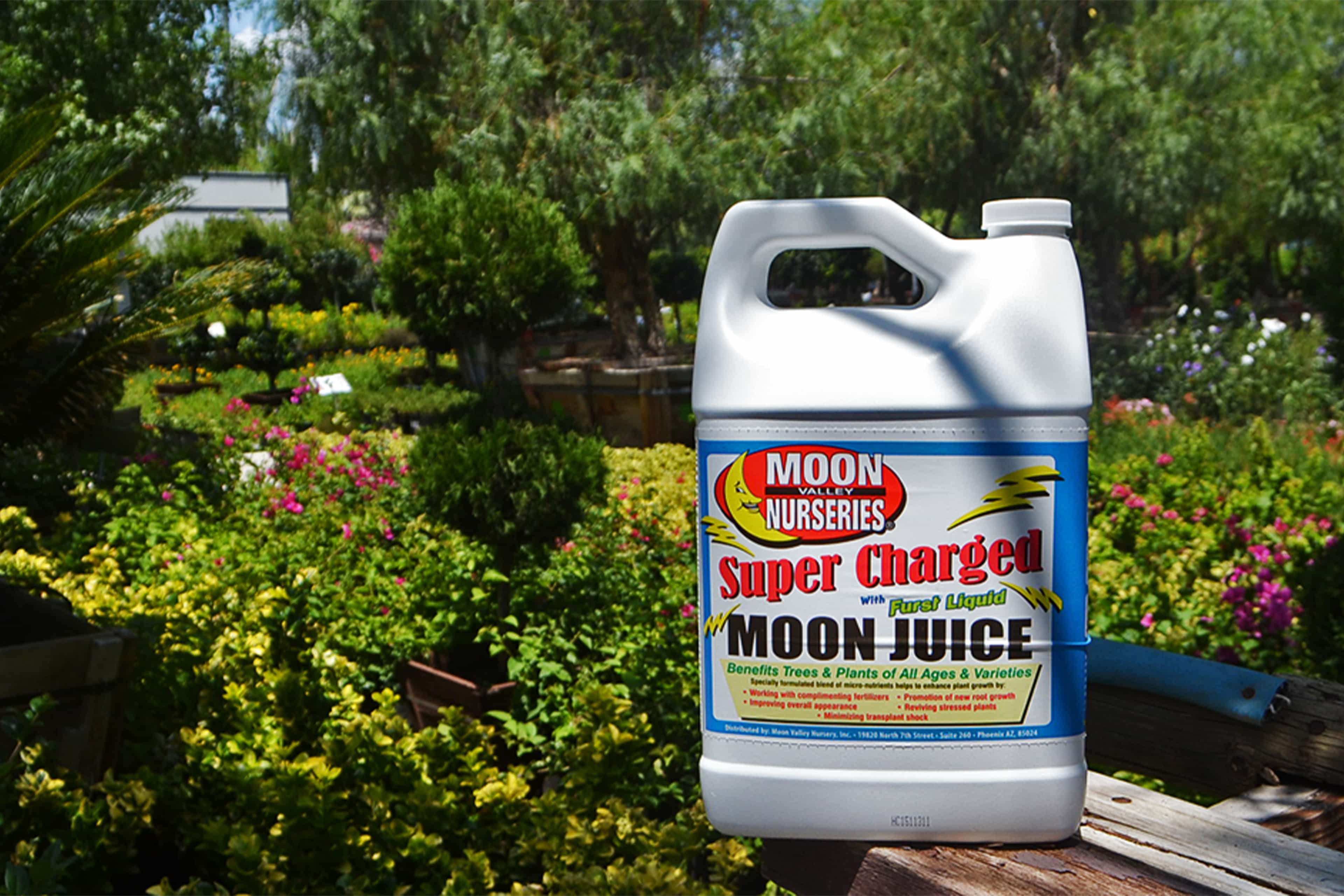 Super Charged Moon Juice