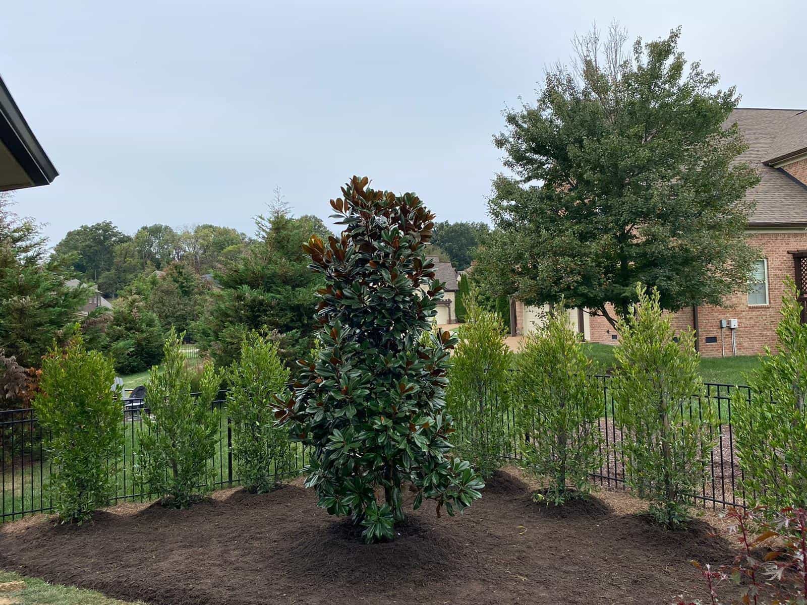 Marsha_Cottage_After